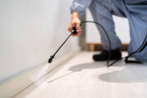 Licensed Pest Control service in Maroa, IL - Show Me Pest Control